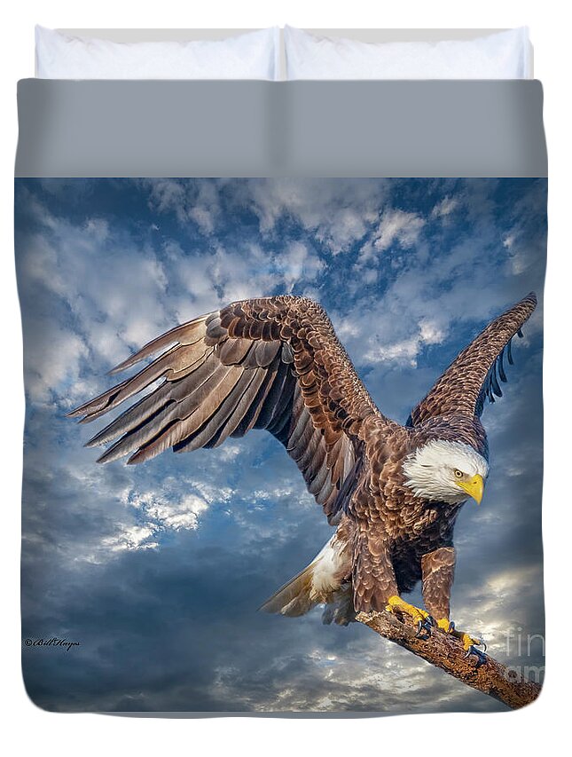 Eagles Duvet Cover featuring the photograph American Bald Eagle Incoming TWO by DB Hayes