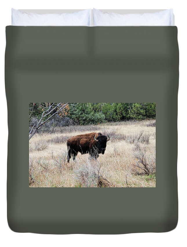 American Bison Duvet Cover featuring the photograph American Bison by Phyllis Taylor