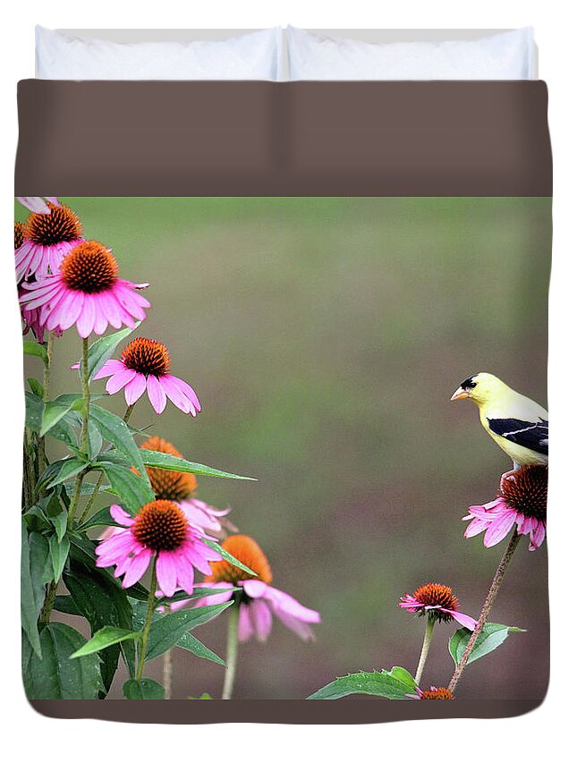 Nature Duvet Cover featuring the photograph American Goldfinch on the Coneflowers by Trina Ansel