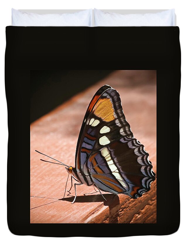 Nature Duvet Cover featuring the photograph An Arizona Sister Butterfly, Adelpha eulalia, in Ramsey Canyon, by Derrick Neill