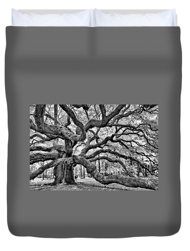 Charleston Duvet Cover featuring the photograph Angel Oak Tree by Louis Dallara