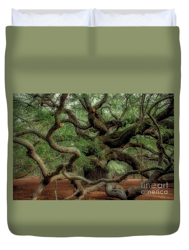 Angel Oak Tree Duvet Cover featuring the photograph Angel Time Curls by Dale Powell