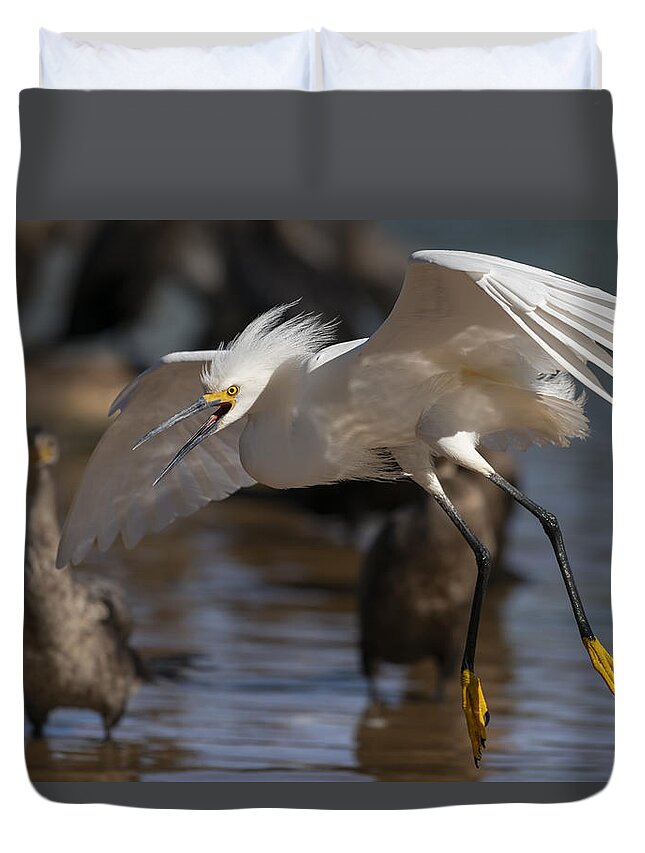  Duvet Cover featuring the photograph Angry Snowy. by Paul Martin