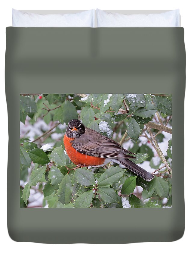 Robin Duvet Cover featuring the photograph Angry Robin in the Snow by Linda Stern