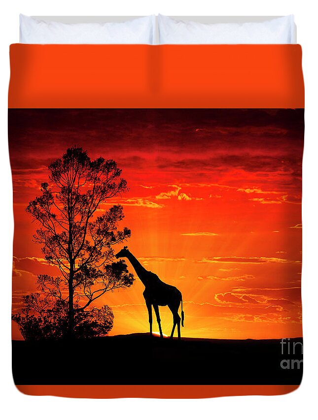Nature Duvet Cover featuring the photograph Animals 95 by Ben Yassa