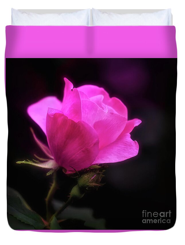 Rose Duvet Cover featuring the photograph Anniversary Rose by Anita Pollak