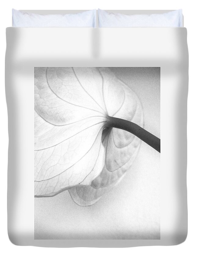 Petal Duvet Cover featuring the photograph Anthurium Flower by Sandrine Bron
