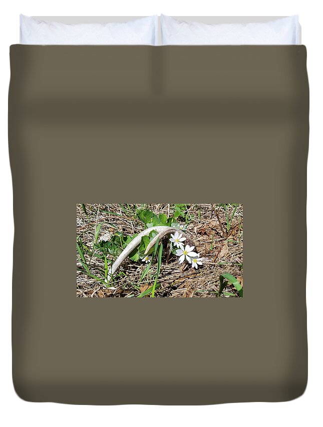 Antler Duvet Cover featuring the photograph Antler and Bloodwort Flowers by Brook Burling