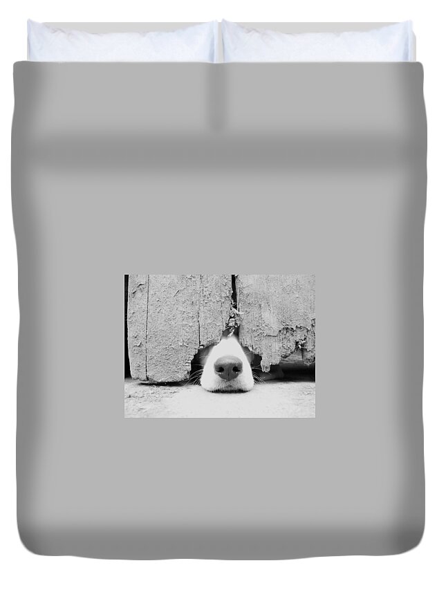 Pets Duvet Cover featuring the photograph Anyone Out There by By Jake P Johnson