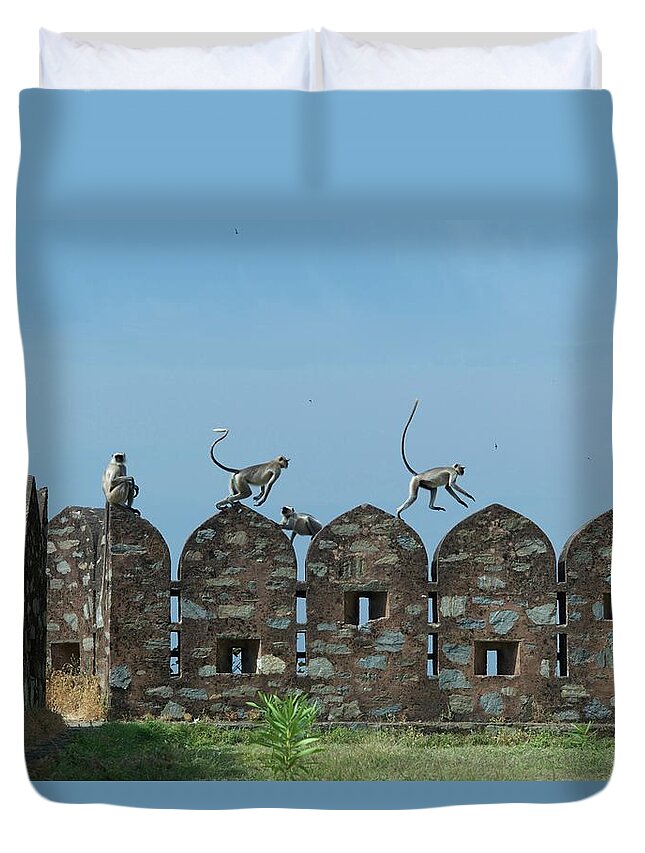 Clear Sky Duvet Cover featuring the photograph Apes Playing At Kumbhalgarh by Dominik Eckelt