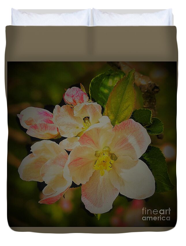 Apple Blossom Macro Duvet Cover For Sale By Suzanne Wilkinson