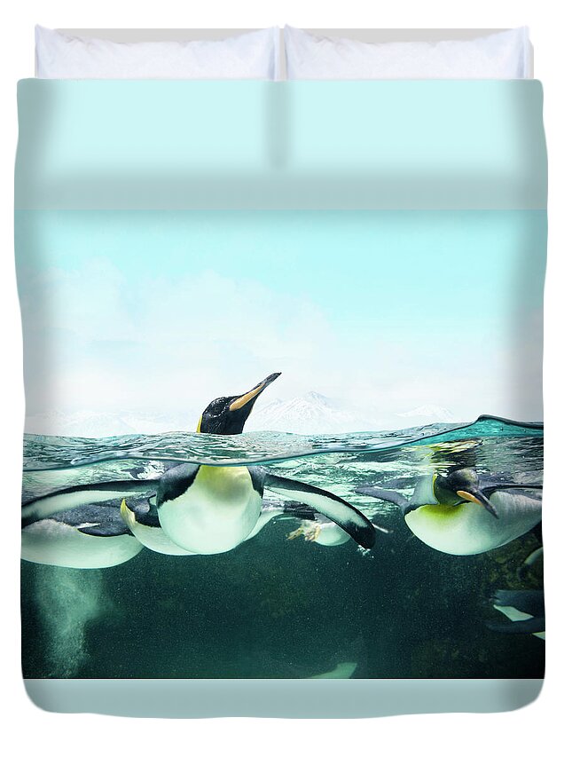 Underwater Duvet Cover featuring the photograph Arctic Penguins by Colin Anderson