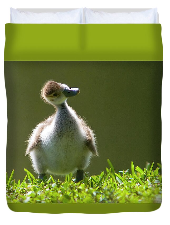 Cute Duvet Cover featuring the photograph Are You My Mama? by Jane Axman
