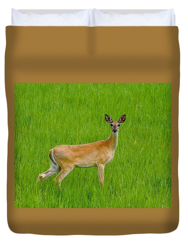 Deer Duvet Cover featuring the photograph Are You Talking to Me? by Susan Rydberg
