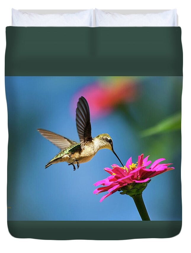 Hummingbird Duvet Cover featuring the photograph Art of Hummingbird Flight by Christina Rollo