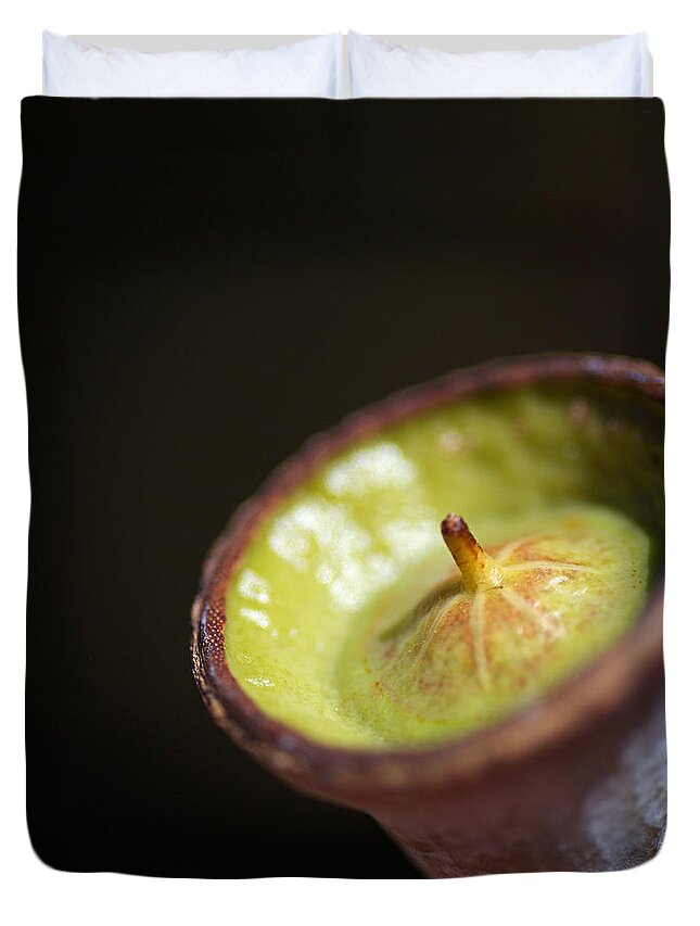 Green Face Of Gumnut Duvet Cover featuring the photograph Green Face Of Gumnut by Joy Watson