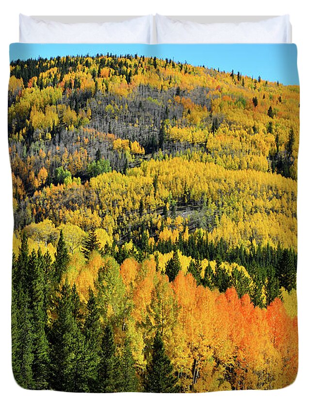Cclorado Duvet Cover featuring the photograph Aspen Covered Hillsides en Route to Durango by Ray Mathis