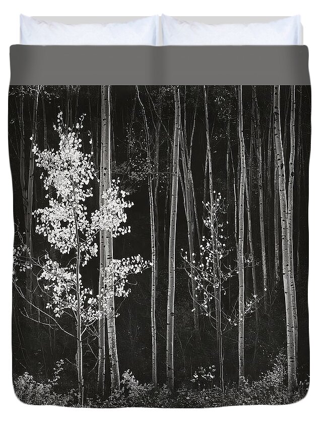 Ansel Adams Duvet Cover featuring the digital art Aspens Northern New Mexico by Ansel Adams