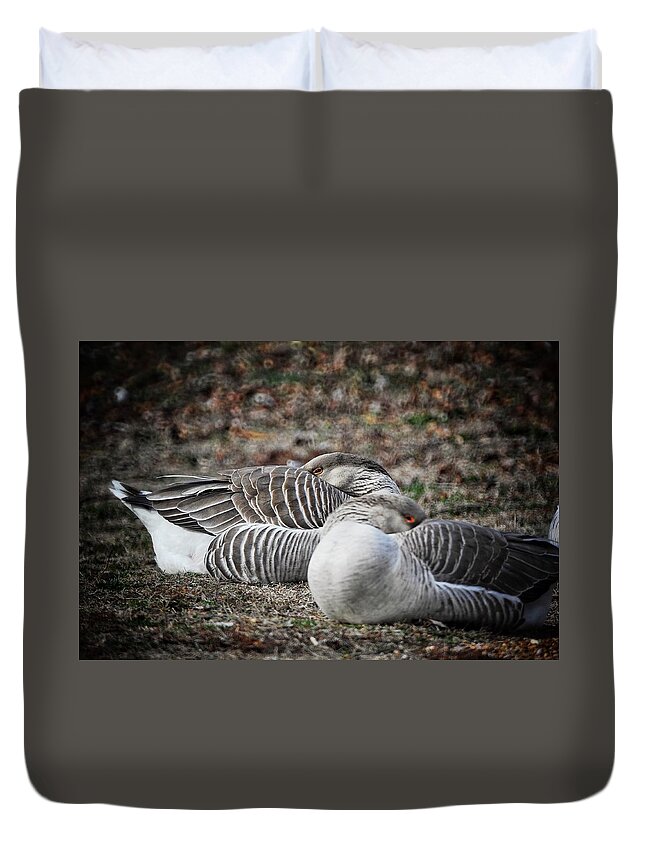  Duvet Cover featuring the photograph At Rest by DArcy Evans
