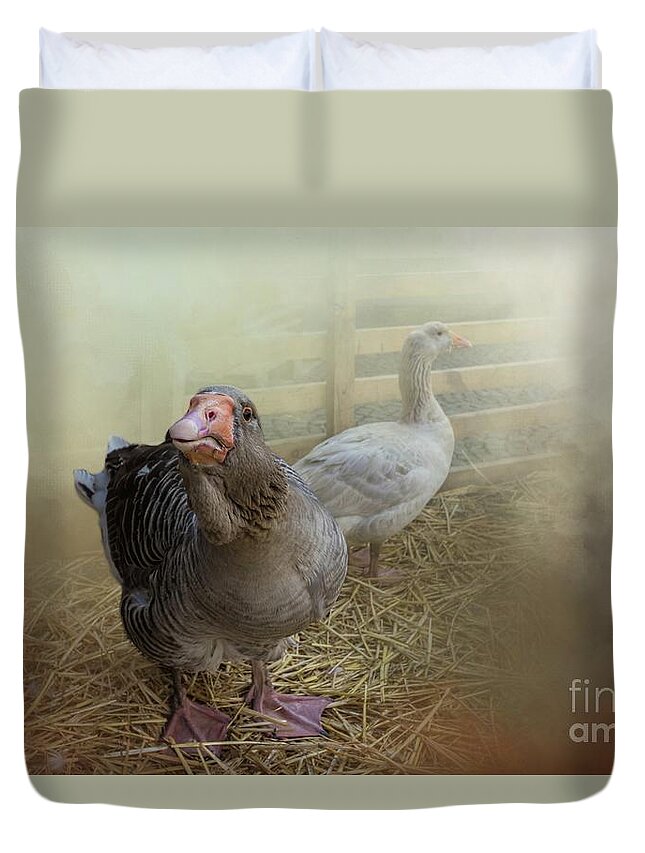 Toulouse Geese Duvet Cover featuring the photograph At the Farm by Eva Lechner