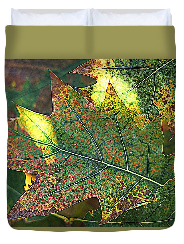 Leaves Duvet Cover featuring the photograph Autumn 1 by Jolly Van der Velden