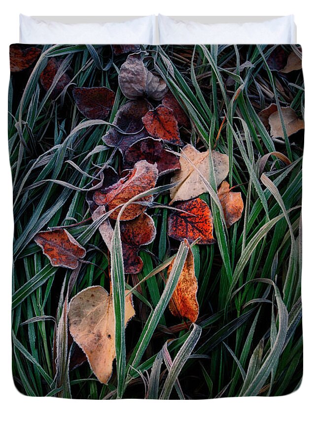 Autumn Leaves Duvet Cover featuring the photograph Autumn Detail by Dan Jurak