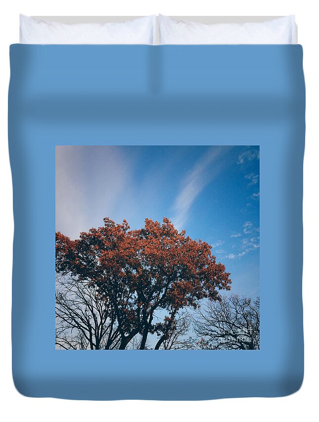Nature Duvet Cover featuring the photograph Autumn Tree and Blue Sky by Frank J Casella