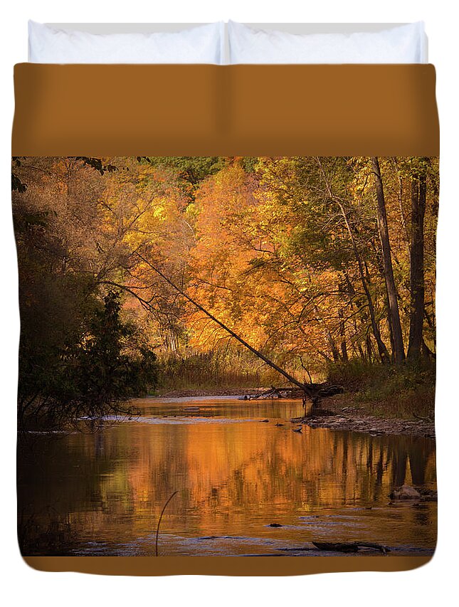 Outdoors Duvet Cover featuring the photograph Autumn Trees by Lynda Murtha