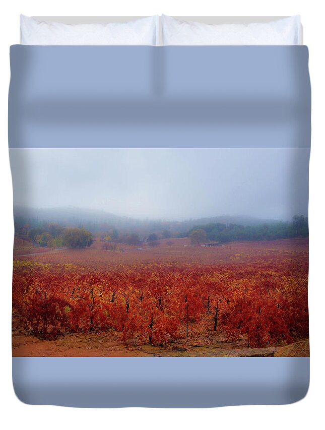 Fog Duvet Cover featuring the photograph Autumn Vines by Steph Gabler