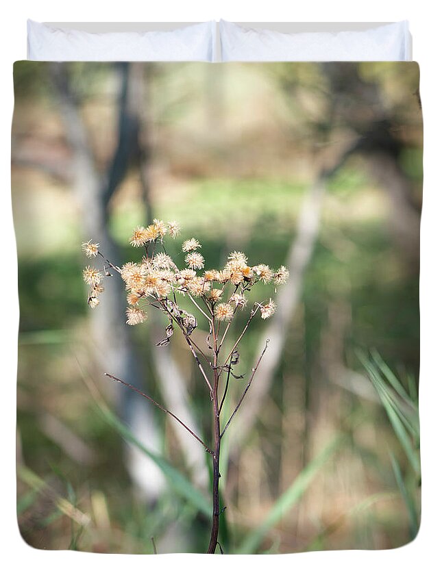 Fall Flowers Duvet Cover featuring the photograph Fall Flowers and White Birch In the Forest by Cordia Murphy