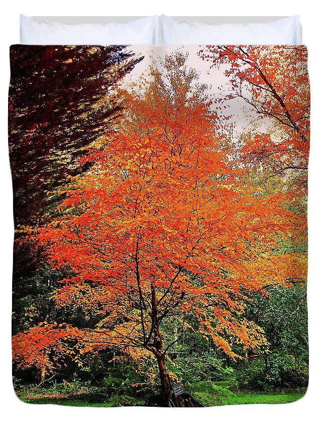 Tree Duvet Cover featuring the photograph Autumnal Tree by Jeff Townsend