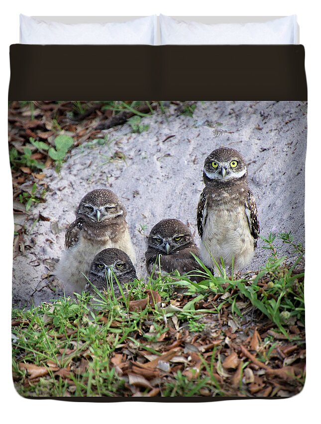 Baby Duvet Cover featuring the photograph Baby Burrowing Owls Posing by Rosalie Scanlon