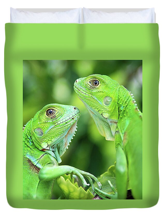 Animal Themes Duvet Cover featuring the photograph Baby Iguanas by Patti Sullivan Schmidt