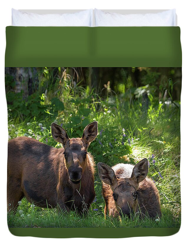 Alaska Duvet Cover featuring the photograph Baby Moose in Woods by Scott Slone