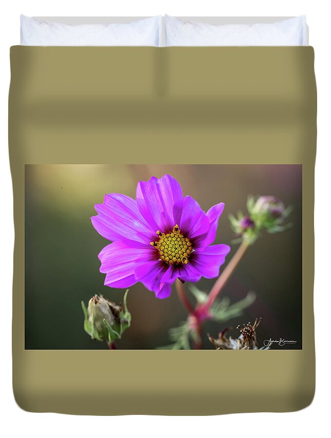 Flower Duvet Cover featuring the photograph Backlit Flower by Aaron Burrows