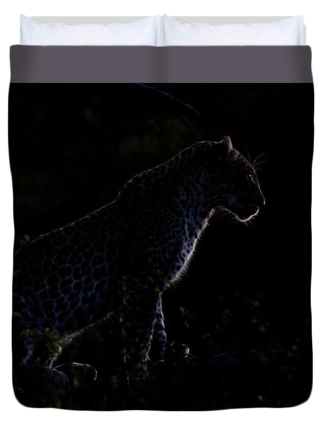 Leopard Duvet Cover featuring the photograph Backlit leopard by Mark Hunter