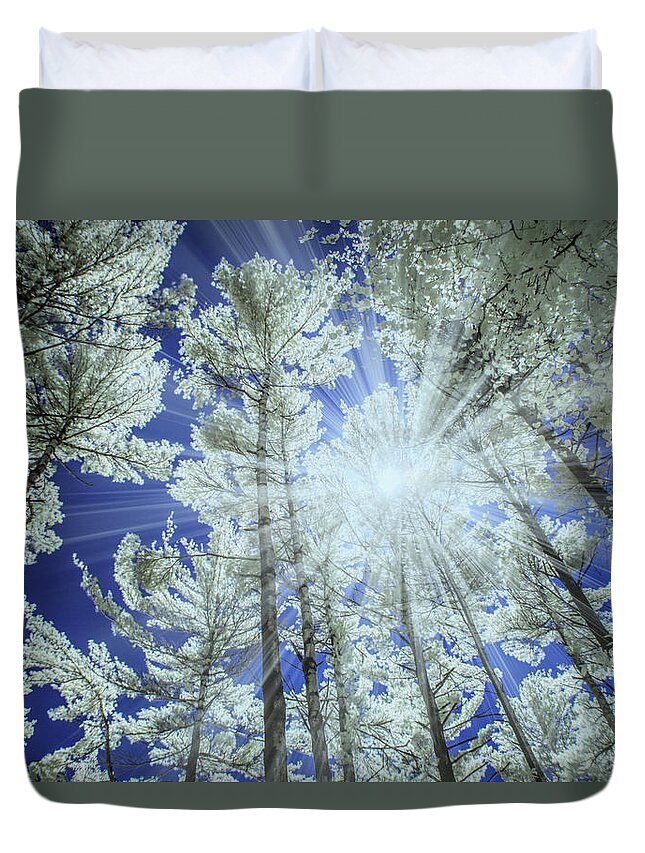 Nature Duvet Cover featuring the photograph Backlit Pine Trees in Infrared by Randall Nyhof
