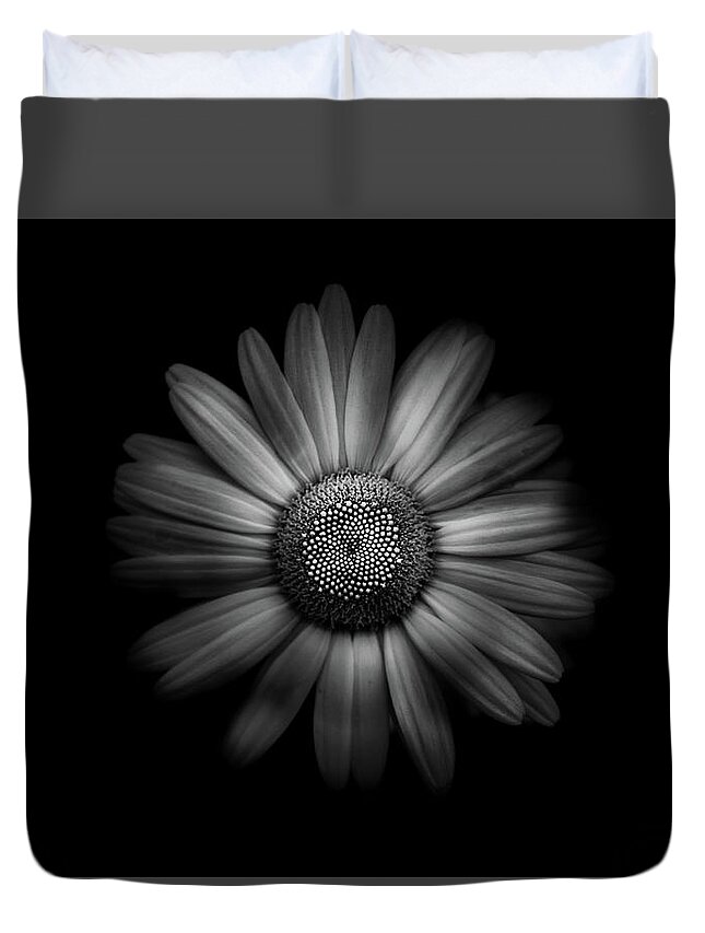Brian Carson Duvet Cover featuring the photograph Backyard Flowers In Black And White 31 by Brian Carson