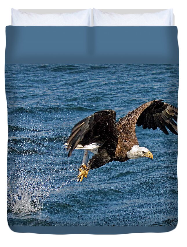 Animal Themes Duvet Cover featuring the photograph Bald Eagle Flying With Fish In Talons by Melinda Moore