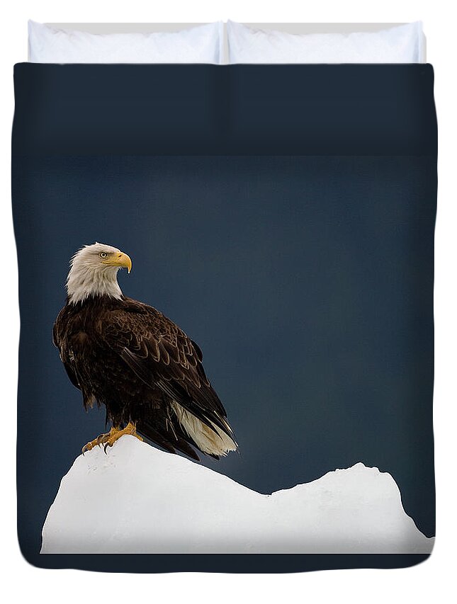 Iceberg Duvet Cover featuring the photograph Bald Eagle On Iceberg, Alaska by Paul Souders