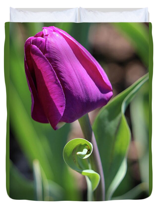 Tulip Duvet Cover featuring the photograph Balletic by Mary Anne Delgado