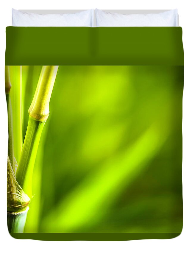 Tropical Rainforest Duvet Cover featuring the photograph Bamboo Leaves On Natural Background by Apomares
