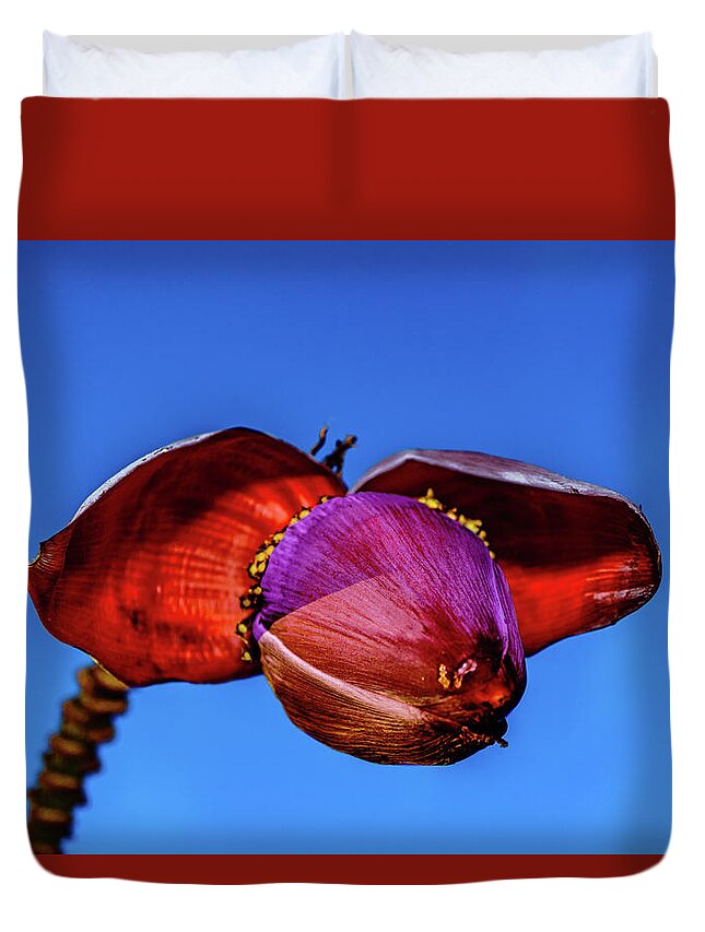 Hawaii Duvet Cover featuring the photograph Banana Blossom by John Bauer
