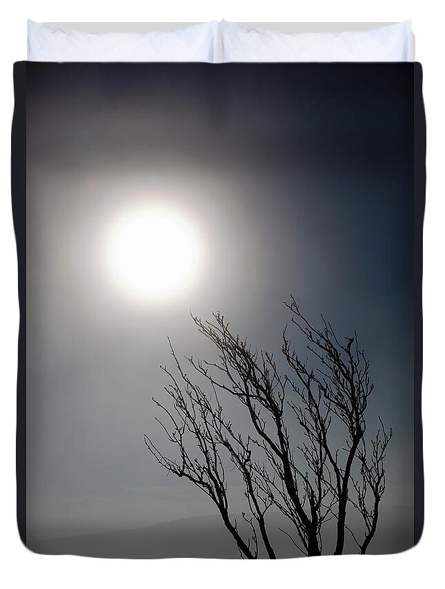 Scenics Duvet Cover featuring the photograph Bare Winter Tree Bending To Winter Sun by Duncan Mckenzie
