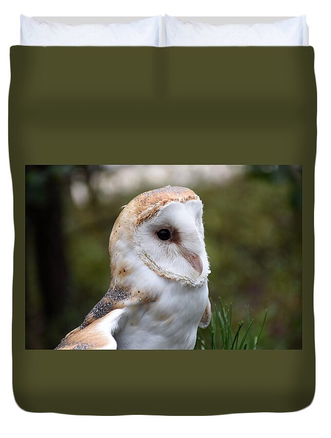 Barn Owl Duvet Cover featuring the photograph Barn Owl 529 by Joyce StJames