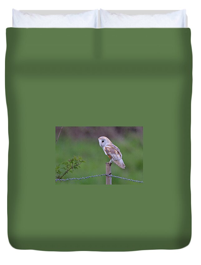 Suffolk Duvet Cover featuring the photograph Barn Owl by Chris Upson