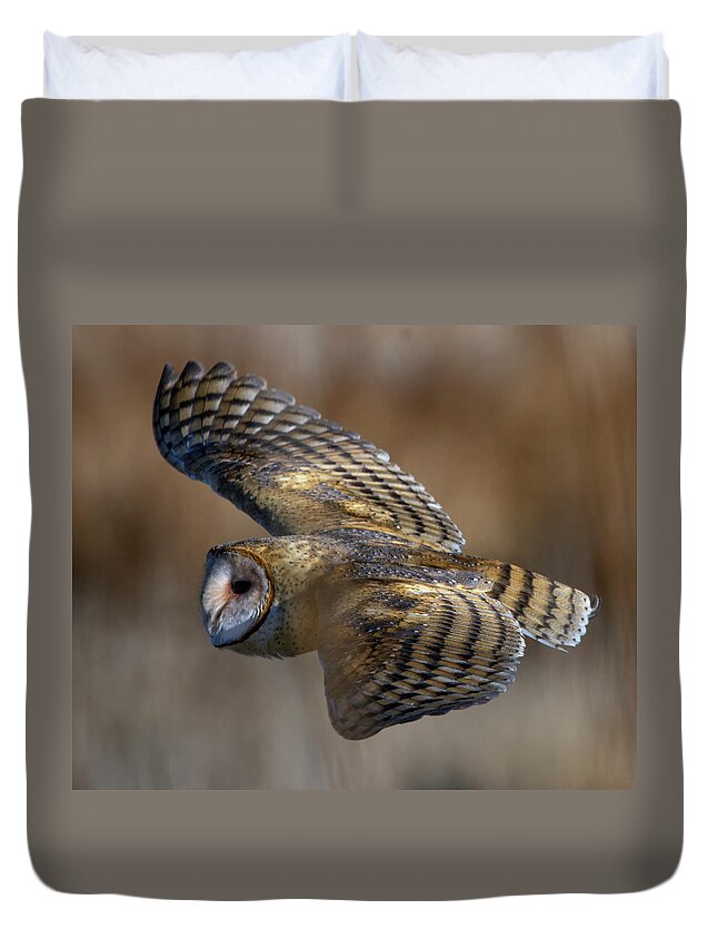 Barn Owl Duvet Cover featuring the photograph Barn Owl in flight by Rick Mosher