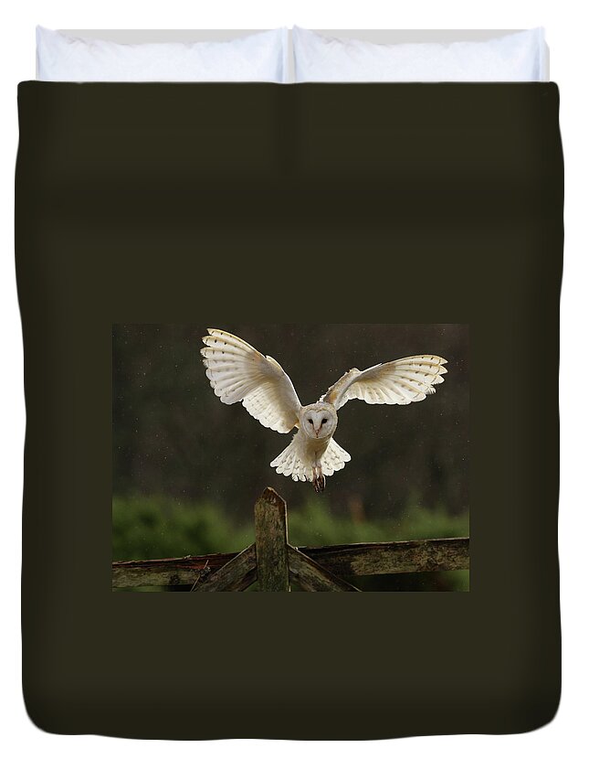 Animal Themes Duvet Cover featuring the photograph Barn Owl by Javier Fernández Sánchez