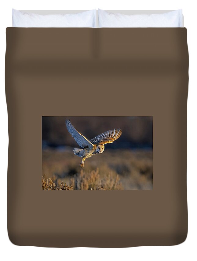 Barn Owl Duvet Cover featuring the photograph Barn Owl Take Off by Rick Mosher
