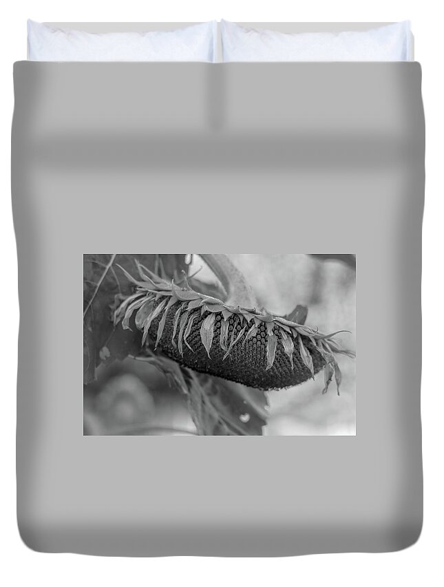 Flower Duvet Cover featuring the photograph Be No More Grayscale by Mary Anne Delgado